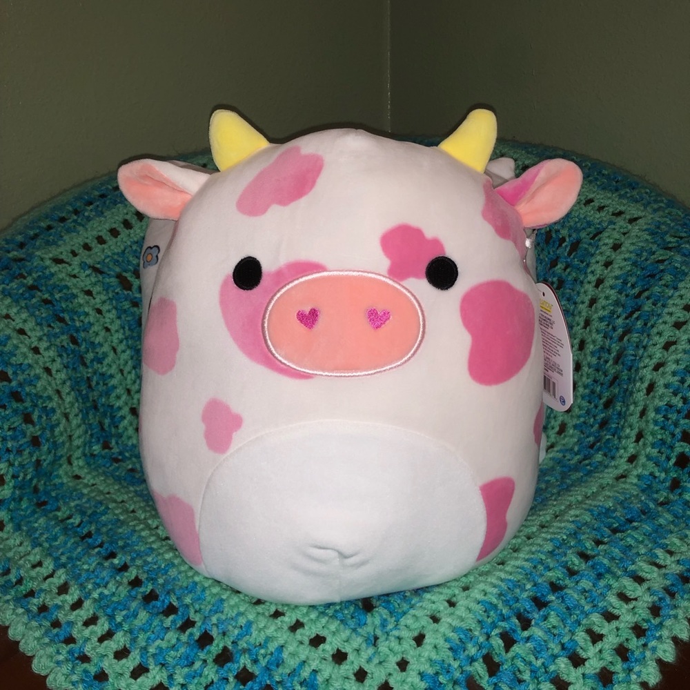 11” evangelica squishmallow